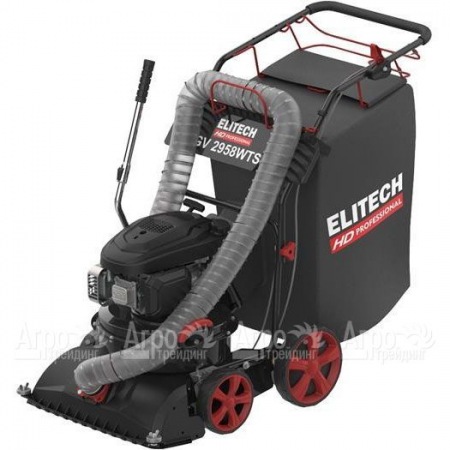 Пылесос садовый бензиновый Elitech HD GV 2958WTS (E1608.008.00) в Екатеринбурге