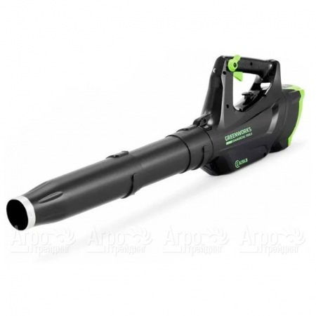 Воздуходувка аккумуляторная GreenWorks GC82BLK5  в Екатеринбурге