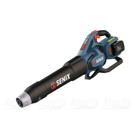 Воздуходувка аккумуляторная Senix BLAX2-M2-EU в Екатеринбурге