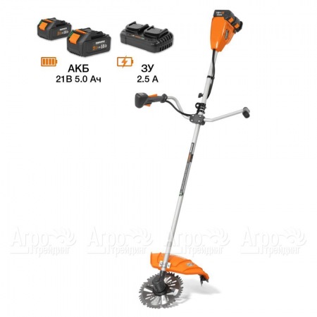 Аккумуляторный триммер Daewoo DABC 4242Li SET в Екатеринбурге
