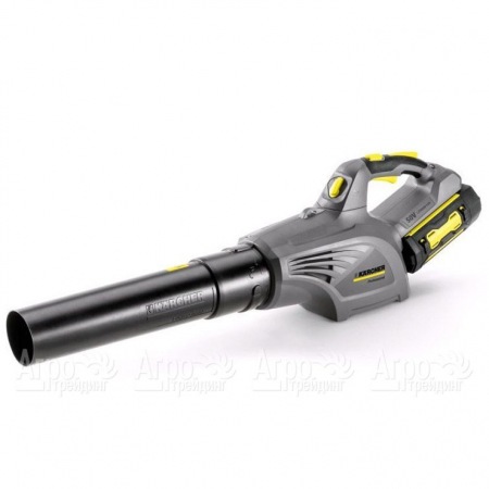 Воздуходувка аккумуляторная Karcher LB 850 Bp в Екатеринбурге
