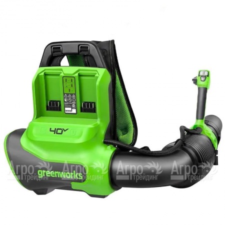 Воздуходувка аккумуляторная GreenWorks GD40BPG2  в Екатеринбурге