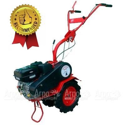 Мотоблок Агат БС-6.5 с двигателем Briggs&#38;Stratton RS 6.5 л.с. (фрезы в комплекте) в Екатеринбурге