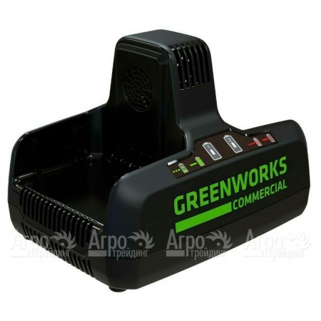 Быстрое зарядное устройство GreenWorks G82C2  в Екатеринбурге