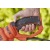 Электрический кусторез (электрокусторез) Black+Decker BEHTS551 в Екатеринбурге