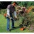 Бензокоса (бензиновый триммер) Stihl FS 55 C в Екатеринбурге