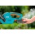 Аккумуляторный кусторез Gardena EasyCut 42 Accu в Екатеринбурге