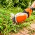 Аккумуляторные ножницы для кустарников Stihl HSA 26 SET c АКБ AS2 и ЗУ AL1 в Екатеринбурге