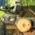Аккумуляторная пила GreenWorks G-Max GD40CS40 40V-16 (без аккумулятора и зарядного устройства) в Екатеринбурге