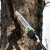 Высоторез аккумуляторный GreenWorks PS102T (без аккумулятора и зарядного устройства) в Екатеринбурге