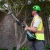 Насадка высоторез 2903286 для многофункционального триммера GreenWorks 82TD10 в Екатеринбурге