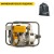Бензиновая мотопомпа Caiman CP-205ST 01-040101-0005 в Екатеринбурге