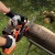 Аккумуляторная пила Black+Decker GKC1825LB-10" (без аккумулятора и зарядного устройства) в Екатеринбурге