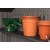 Пластиковый сарай LifeTime WoodLook 8х7.5 в Екатеринбурге