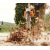Воздуходувка бензиновая Stihl BG 56 в Екатеринбурге