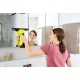 Стеклоочиститель Karcher WV 5 Premium в Екатеринбурге