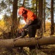 Бензопила Daewoo DACS 4516-16 в Екатеринбурге