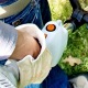 Бензокоса (бензиновый триммер) Stihl FS 38 в Екатеринбурге