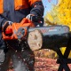 Пила цепная (электропила) Daewoo DACS 2500E-16 в Екатеринбурге