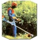 Бензокоса (бензиновый триммер) Stihl FS 38 в Екатеринбурге