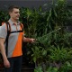 Аккумуляторный опрыскиватель Daewoo DSA 12Li SET в Екатеринбурге