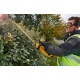Аккумуляторный кусторез Dewalt DCM563PB (без аккумулятора и зарядного устройства) в Екатеринбурге